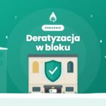 Budynek z zieloną tarczą ochronną, miniatura wpisu o przygotowaniu piwnic i wiaty do wizyty fachowca