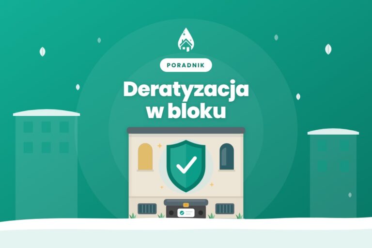 Jesienna deratyzacja w bloku i kamienicy: jak przygotować piwnice i wiatę przed wizytą fachowca