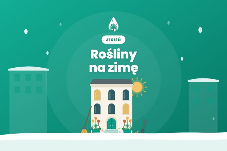 Okrywanie roślin na zimę przy budynku: róże, młode drzewka, donice i ochrona przed solą