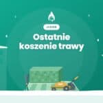 Pas skoszonego trawnika z kosiarką, miniatura wpisu o terminie ostatniego koszenia trawy przy bloku