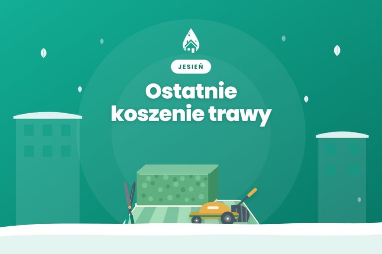 Kiedy ostatnie koszenie trawy przy budynku: wysokość cięcia i jesienna pielęgnacja trawnika
