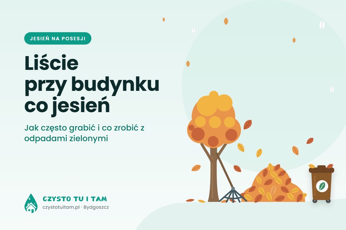 Grabie, sterta jesiennych liści i brązowy pojemnik BIO pod drzewem – sprzątanie liści na osiedlu w Bydgoszczy
