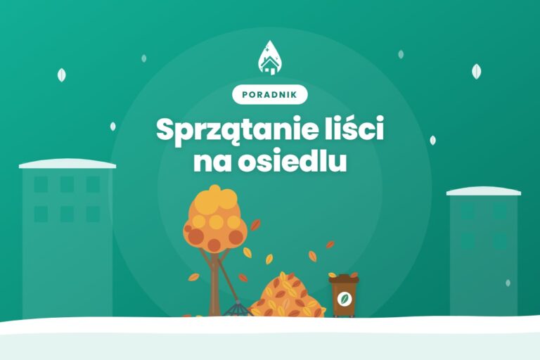 Sprzątanie liści na osiedlu w Bydgoszczy: jak często grabić i co z odpadami