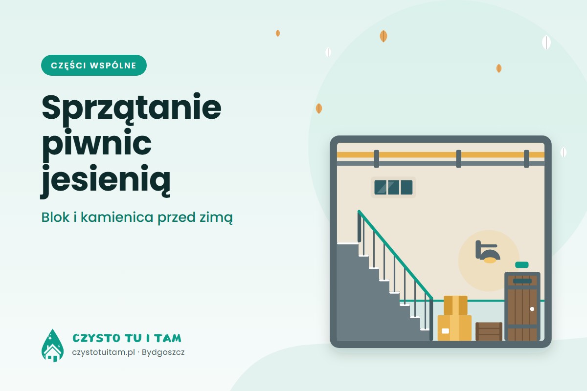 Korytarz piwniczny z drzwiami, schodkami w dół i lampą – ilustracja jesiennego sprzątania piwnic w bloku i kamienicy